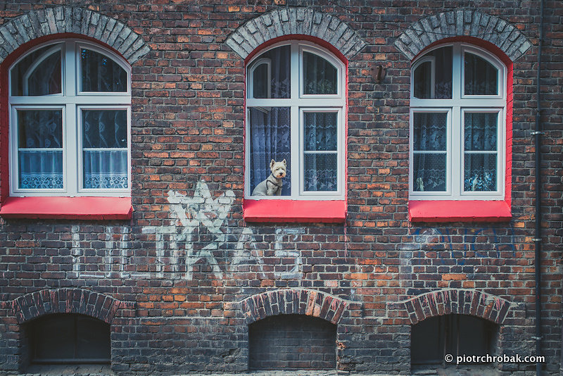 Nikiszowiec - odpust — fotografia 14 z 24